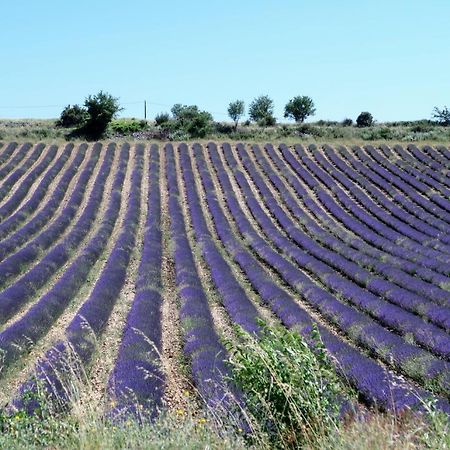 La Terrasse D'Olea, Au Coeur Du Village Б'юі-ле-Баронні Екстер'єр фото